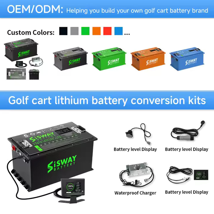 oem lithium battery
