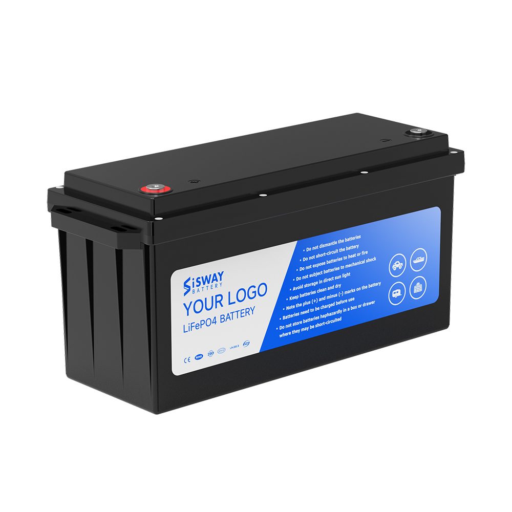 Custom LiFePO4 Battery