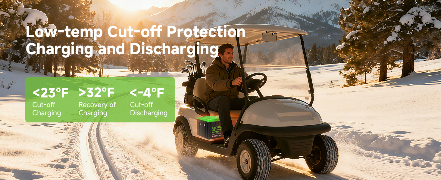 48v golf cart batteries lithium