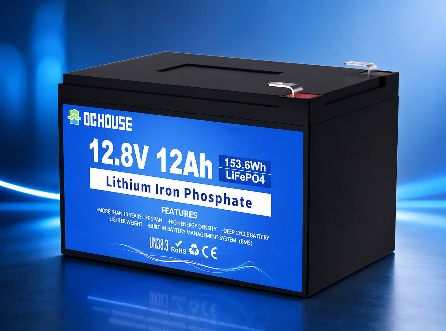 DC HOUSE 48V LiFePO4 metal case golf cart battery