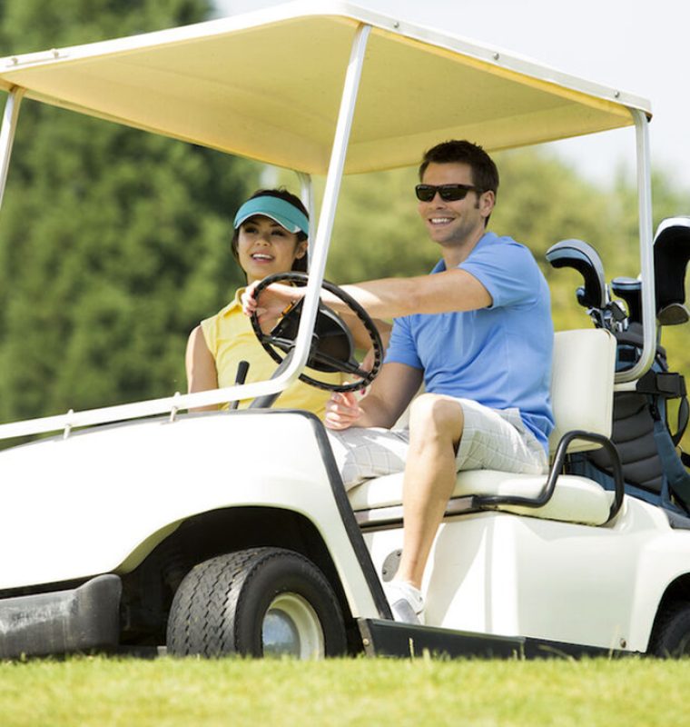 golf cart battery