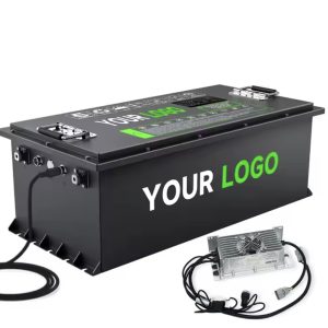 custom lithium ion battery Lifepo4 Golf Cart Batteries
